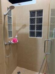 Shower area with glass block windows and handheld showerhead