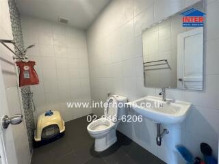 Modern bathroom with white tiled walls, a sink, toilet, and cat litter box