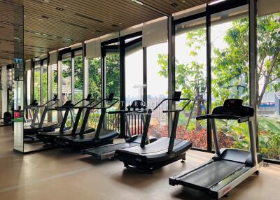 Modern gym with treadmills and large windows