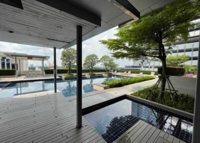 outdoor pool area with modern deck and garden