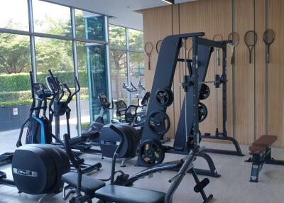 Modern gym with workout equipment and large windows