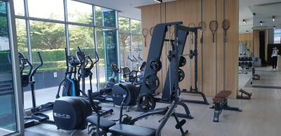 Modern gym with workout equipment and large windows