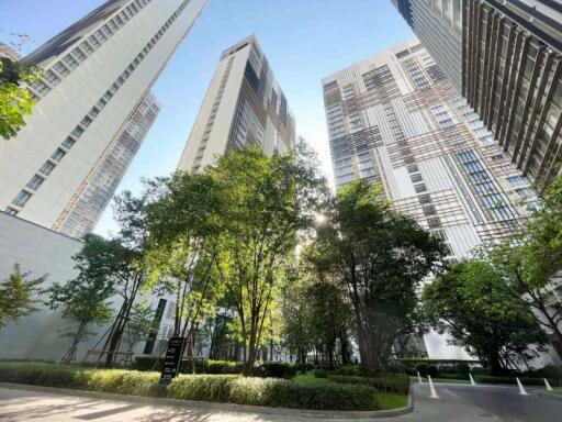 View of tall residential buildings with surrounding greenery