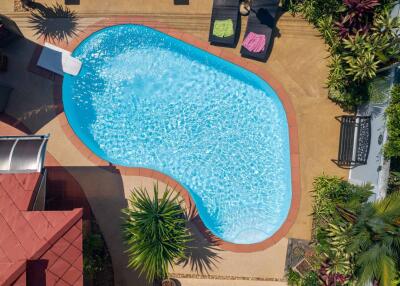 Aerial view of a swimming pool surrounded by lounge chairs and greenery