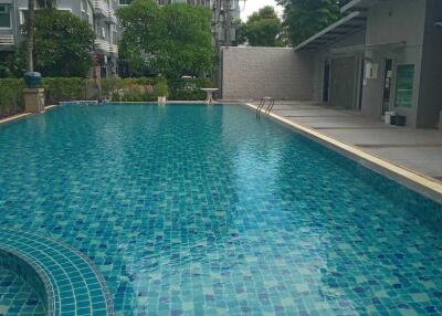 Swimming pool with surrounding buildings