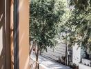 Balcony view of a tree-lined street