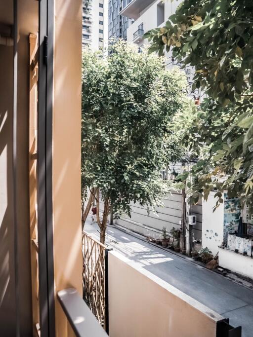 Balcony view of a tree-lined street