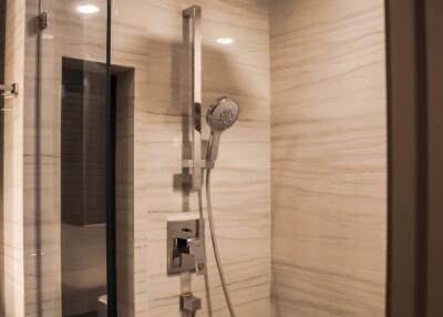 Modern shower with glass door and rainfall showerhead