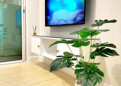 Modern living room with wall-mounted TV and indoor plant