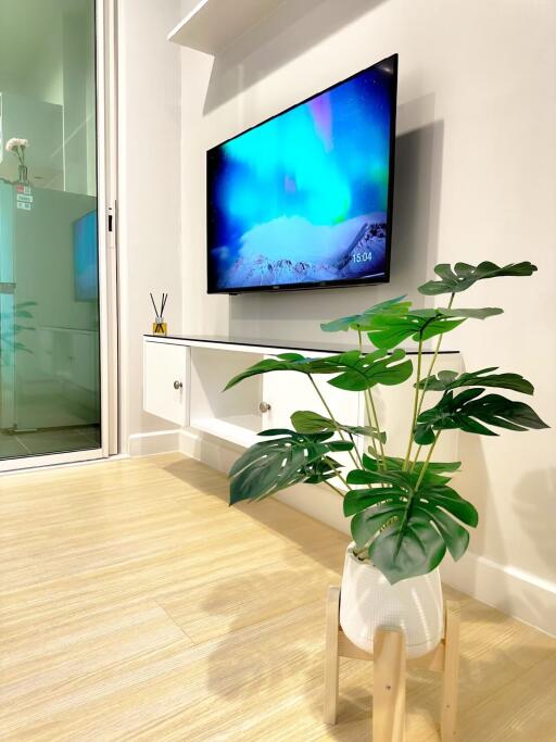 Modern living room with wall-mounted TV and indoor plant