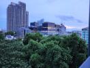 City skyline view with trees in the foreground during dusk