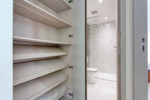 Modern bathroom with shower and toilet, adjacent shelves for storage