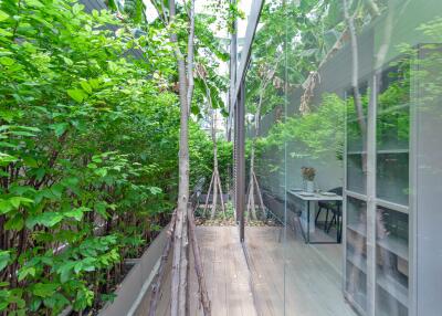 Outdoor hallway with glass walls and greenery