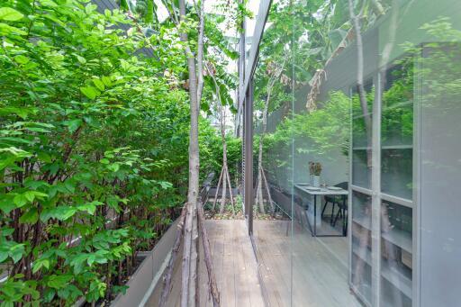 Outdoor hallway with glass walls and greenery
