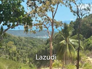 Sea View Land Plot 802 SQ.M in Koh Phangan