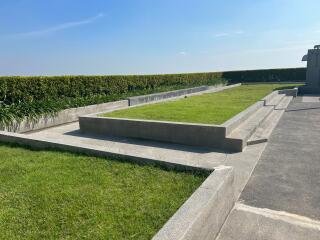 well-maintained lawn with hedges and concrete pathways