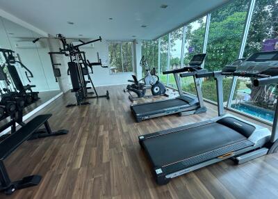 Modern gym with treadmills, exercise bikes, weights, and large windows