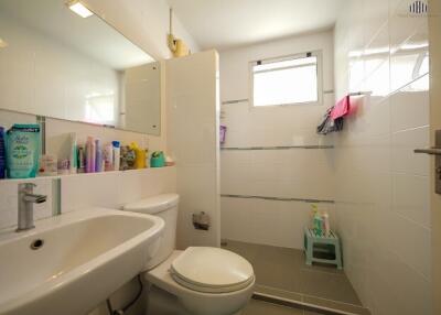 Clean bathroom with a sink, toilet, and walk-in shower