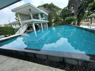 Modern home with swimming pool