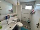 Modern bathroom with large mirror and walk-in shower