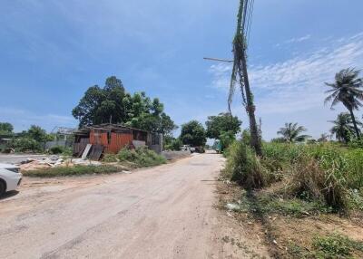 Street view with surrounding vegetation and a small structure