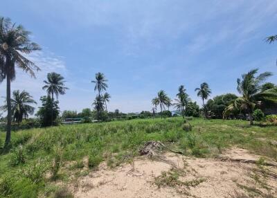 Vacant land with palm trees and vegetation under a clear sky