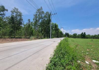 Paved road with green landscape and power lines