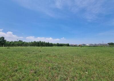 Expansive green field with distant houses under blue sky
