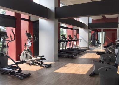 Modern fitness center with equipment