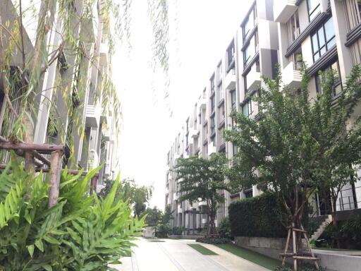 Modern apartment buildings with landscaped surroundings