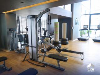 High-end gym with modern exercise equipment