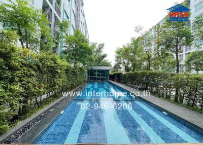Outdoor swimming pool with surrounding greenery at a residential building