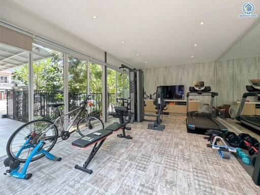 Spacious home fitness room with modern equipment and large windows