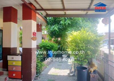 Outdoor pathway with colorful drawers, green plants, and a real estate sign