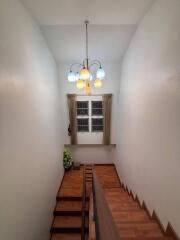 Well-lit staircase with wooden steps and modern chandelier