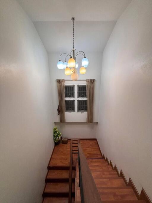 Well-lit staircase with wooden steps and modern chandelier