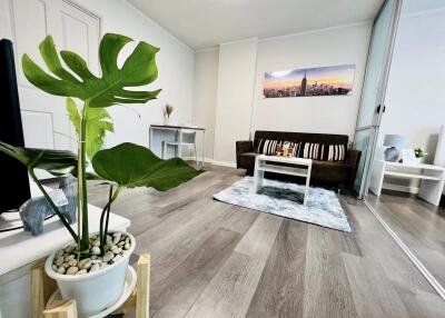 Modern living room with large plant and wall art