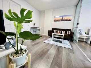 Modern living room with large plant and wall art