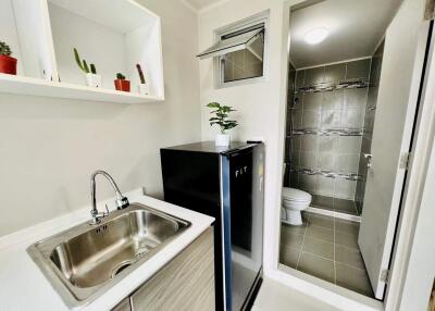 Small kitchen area with sink, shelf with plants, and mini refrigerator. Bathroom visible in the background.