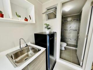 Small kitchen area with sink, shelf with plants, and mini refrigerator. Bathroom visible in the background.