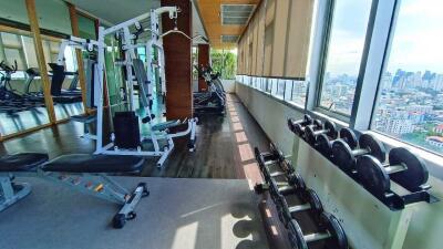 Modern gym with city view