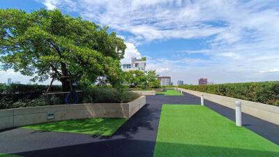 Rooftop garden with greenery and cityscape view