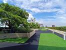 Rooftop garden with greenery and cityscape view