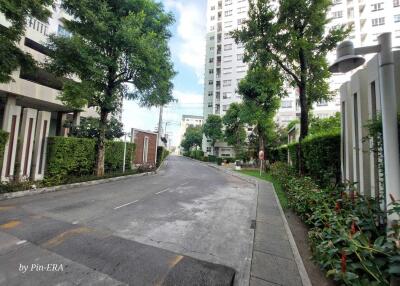 Driveway leading to apartment buildings with greenery and trees