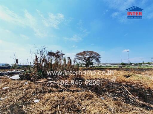 Vacant land plot