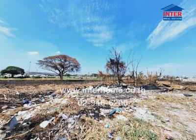 Vacant land with trees and scattered debris under a clear blue sky