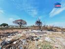 Vacant land with trees and scattered debris under a clear blue sky