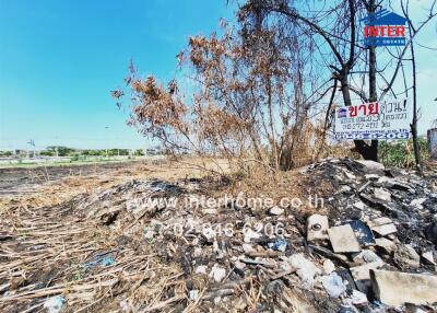 Vacant land plot with some debris and dry vegetation
