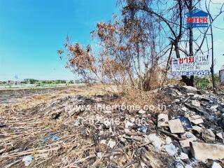 Vacant land plot with some debris and dry vegetation