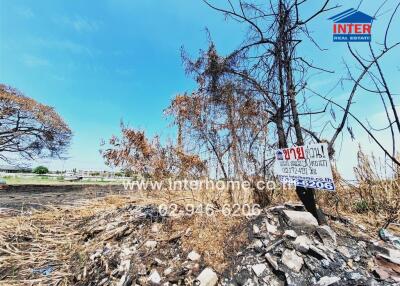 Vacant lot with dry vegetation and real estate sign